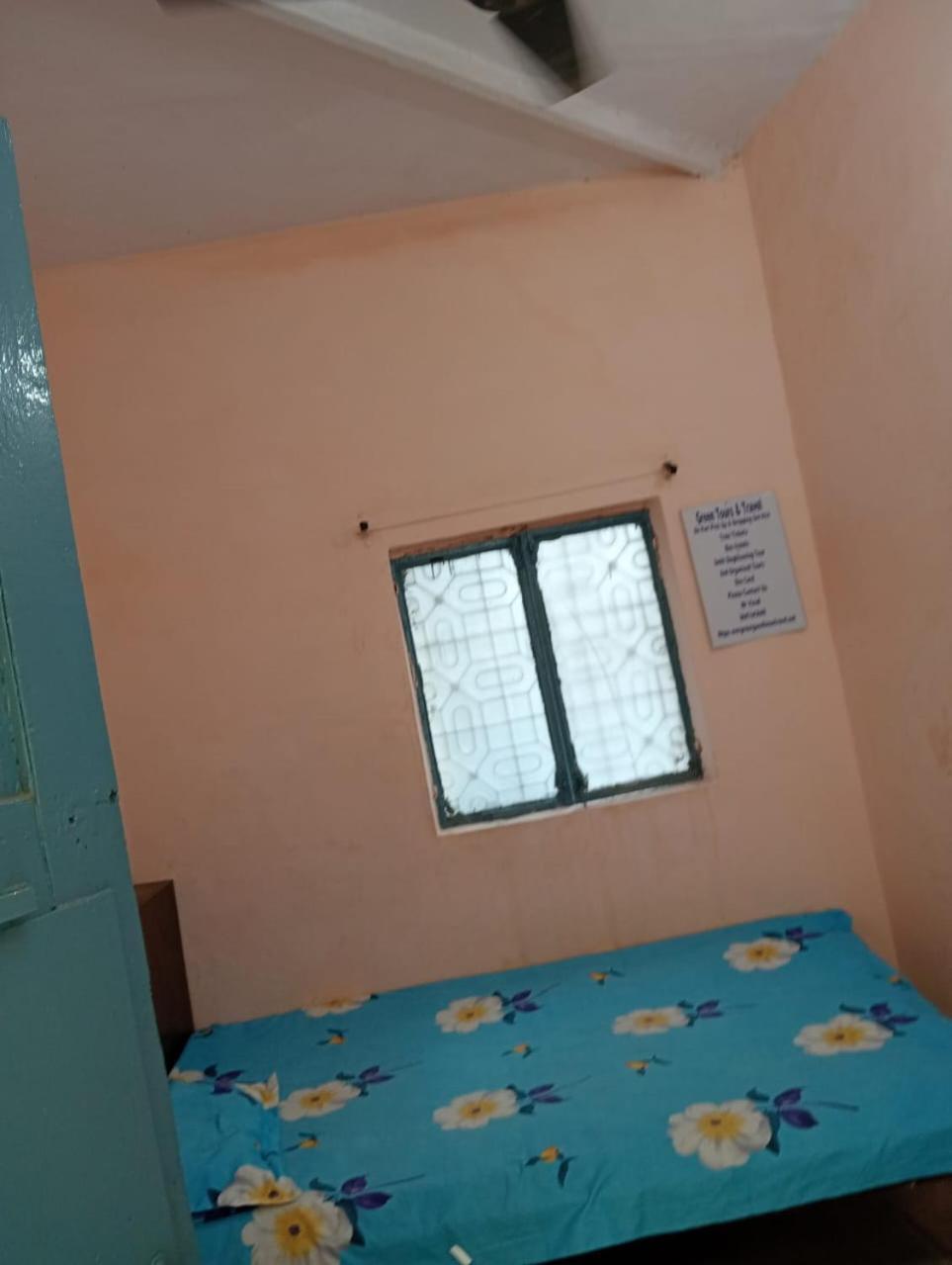 Ever Green Guest House Travel & Pg New Delhi Exteriör bild