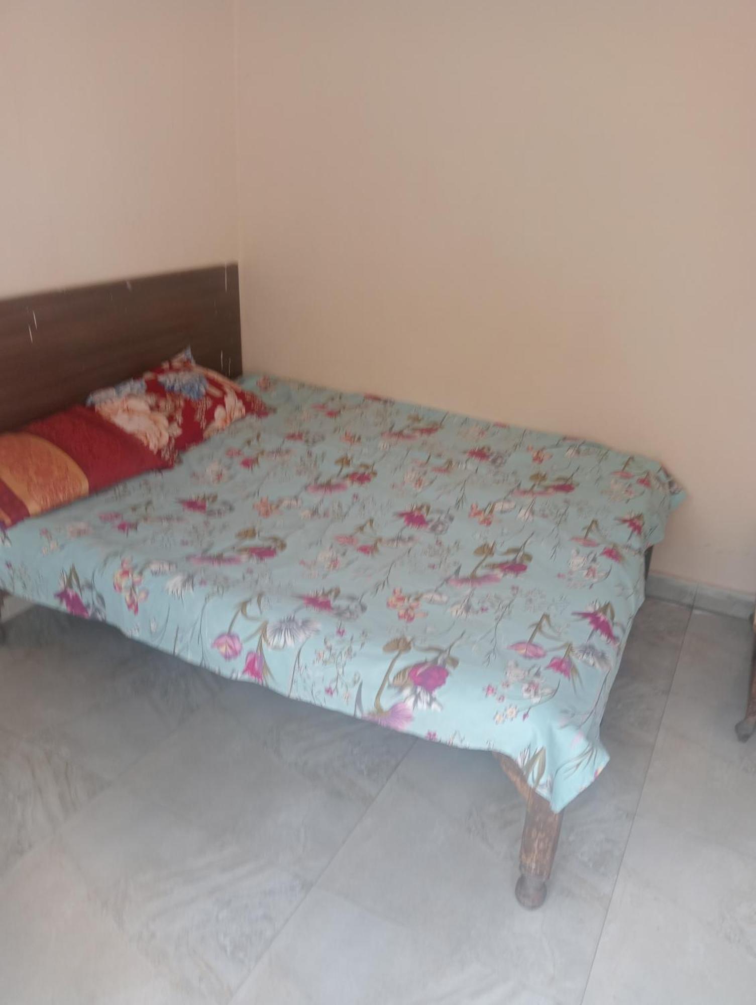 Ever Green Guest House Travel & Pg New Delhi Exteriör bild