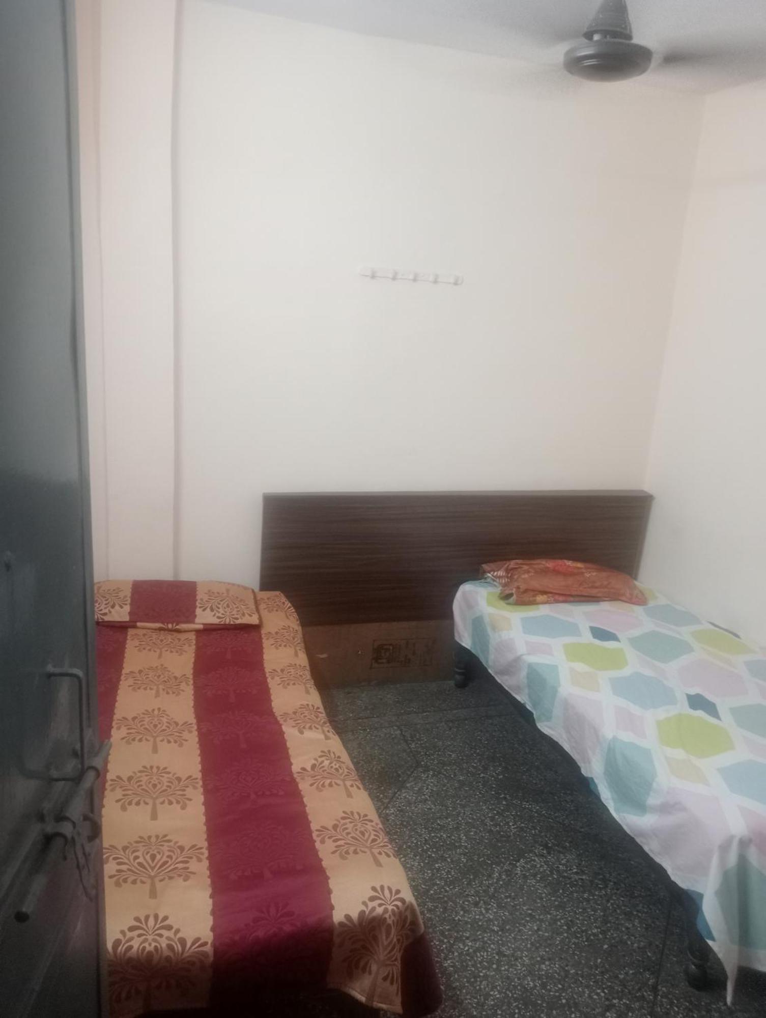 Ever Green Guest House Travel & Pg New Delhi Exteriör bild